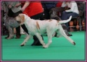 09-03-12 M GoodAsGold_IMG_9675